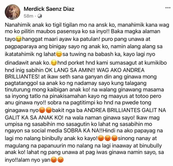 Mother Of Francine Diaz Lambasts Andrea Brillantes And Seth Fedelin