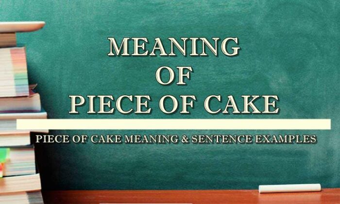 Piece Of Cake Meaning Sentence Examples