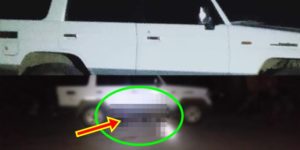 Crocodile Under Vehicle Palawan