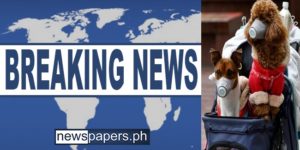 Dog Confirmed Positive for Coronavirus in Hong Kong