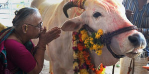 Political Activist In India