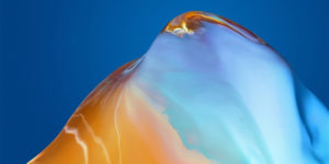Huawei P40 Series wallpapers