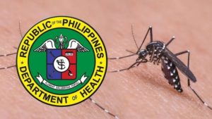 dengue alert doh