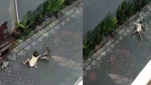 Disturbing Footage