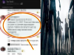 Crazy Netizen