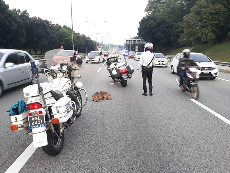 Police Officers