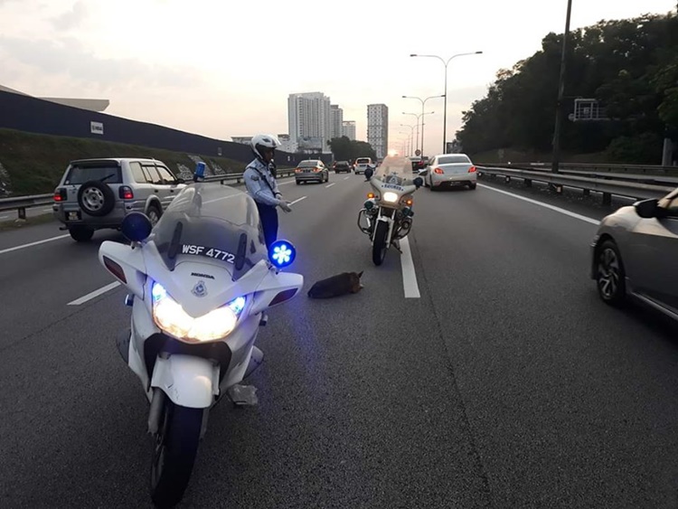 Police Officers