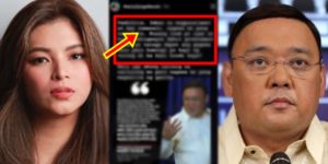 Angel Locsin, Harry Roque