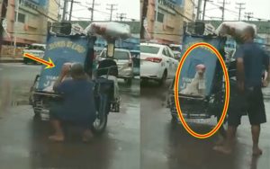 Pedicab Driver