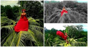 Model Posing on Top of Coconut Tree Goes Viral