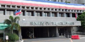 Senate