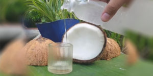 virgin coconut oil