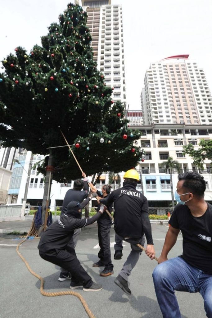 Giant Christmas Tree
