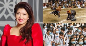 Imee Marcos Expresses Dismay Over Prohibiting Face-to-Face Classes But Allowed Cockfighting