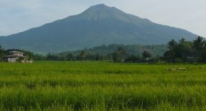 Kanlaon Volcano: 8 Volcanic Earthquakes Recorded in 24 Hours