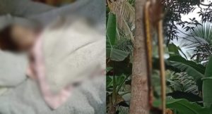 Baby Girl and a Snake