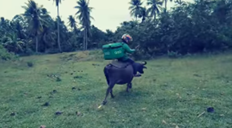 Funny Video of Grab Rider Riding Carabao Goes Viral