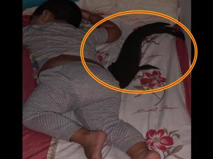 little boy sleeping with pet