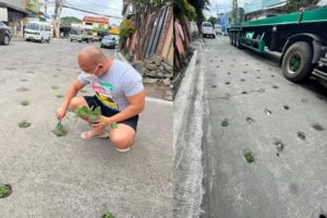 Damaged Road