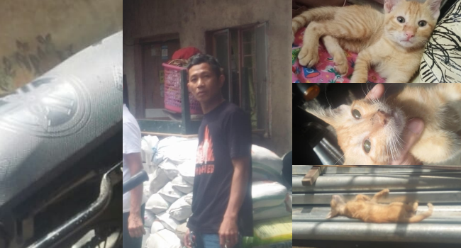 Rider Brutally Kills Cat Because It Sat On His Motorcycle