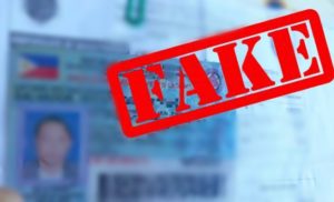 fake driver's license