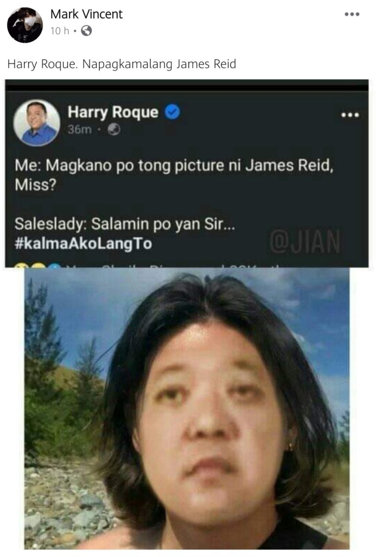 Harry Roque Jokes on Looking Like James Reid; Netizens React