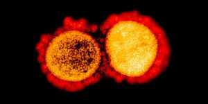 double mutant COVID-19 variant