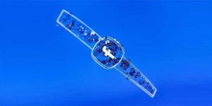 Facebook smartwatch