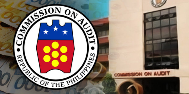 The Commission on Audit (COA) said that investigating possible graft in government agencies wasn't part of its mandate.