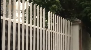 Male Thief