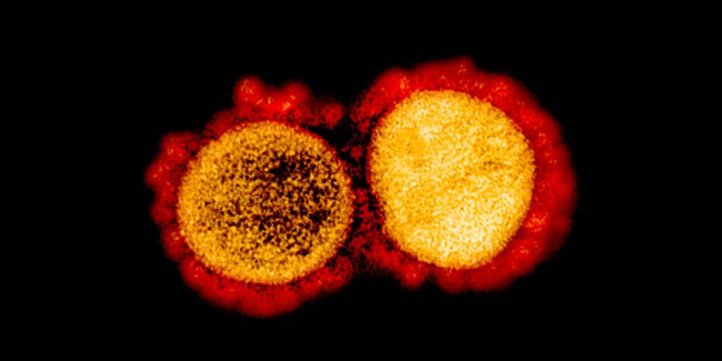 The WHO was the "sole authority" that can classify new variants, according to the DOH.