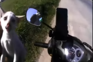 Kind Motorcycle Rider