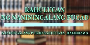 NANININGALANG PUGAD KAHULUGAN 1