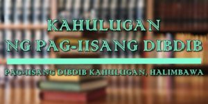 PAG-IISANG DIBDIB KAHULUGAN 1