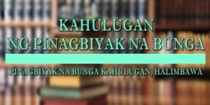 PINAGBIYAK-NA-BUNGA-KAHULUGAN