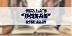 Rosas In English
