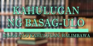 BASAG-ULO KAHULUGAN 1