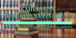 BUKOD NA PINAGPALA KAHULUGAN 1