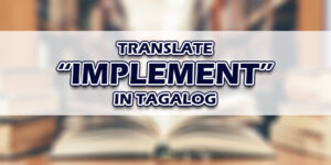 Implement In Tagalog