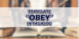 Obey In Tagalog