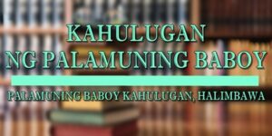 PALAMUNING BABOY KAHULUGAN 1