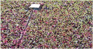 Robredo rally in Cavite