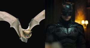 real bat in The Batman