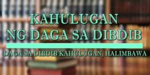 DAGA SA DIBDIB KAHULUGAN 1