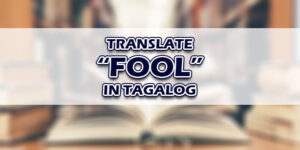 Fool In Tagalog