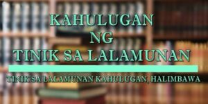 Tinik Sa Lalamunan Kahulugan 1