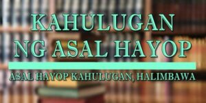 ASAL HAYOP KAHULUGAN 1