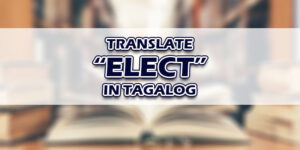 Elect In Tagalog