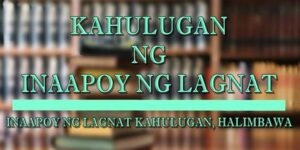 INAAPOY-NG-LAGNAT-KAHULUGAN-1