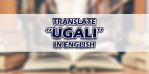 Ugali In English